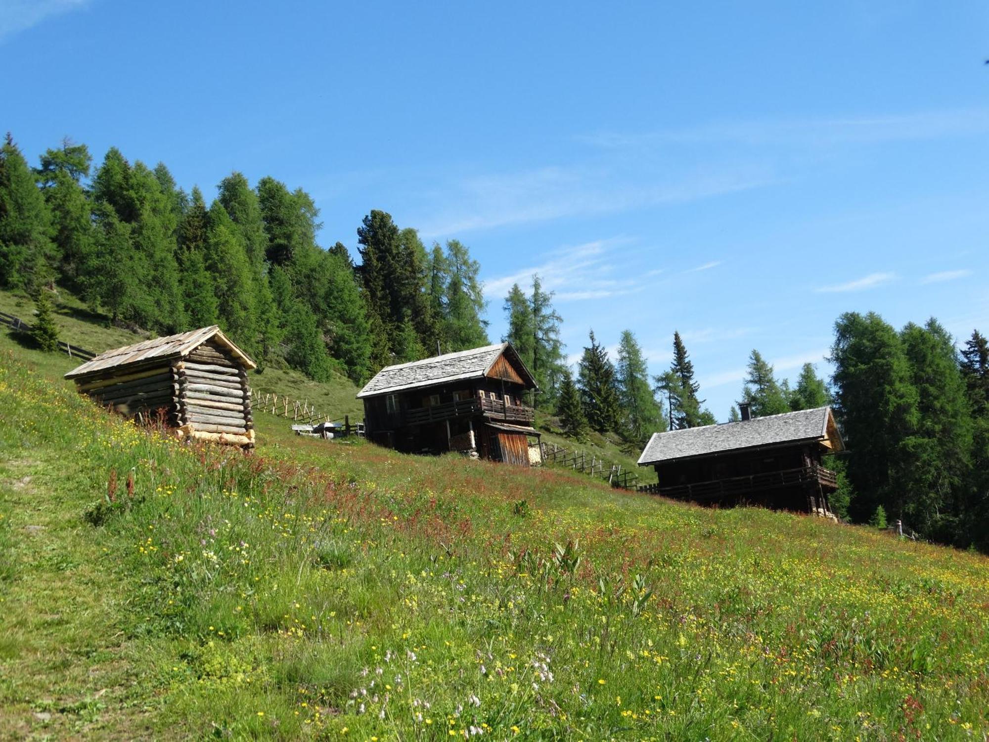Ferienwohnung Bergmann Ausservillgraten ภายนอก รูปภาพ